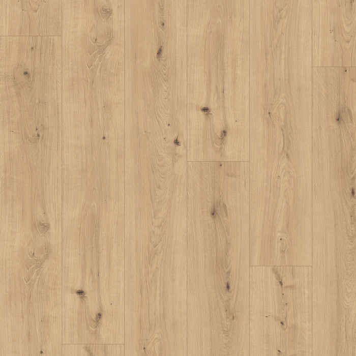 EL2136_STF6_long_wv4_frontal_10DE_flo