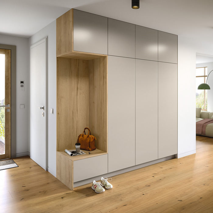 Entrance;application;Rendering;Wardrobe