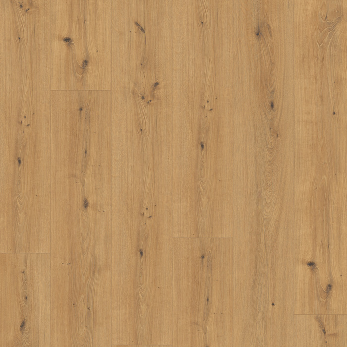 EL2137_STF6_long_wv4_frontal_10DE_flo